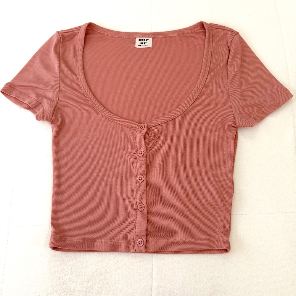 Aritzia Sunday Best Holly Cropped Short Sleeve Tee, Dusty Rose, XXS